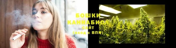 каннабис Богданович