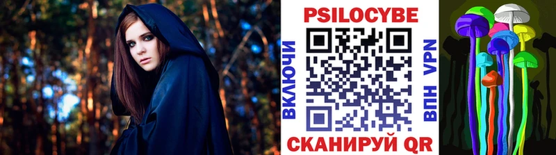 Псилоцибиновые грибы Cubensis  darknet наркотические препараты  Балтийск 