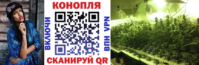 где купить наркоту  Балтийск  Конопля THC 21% 